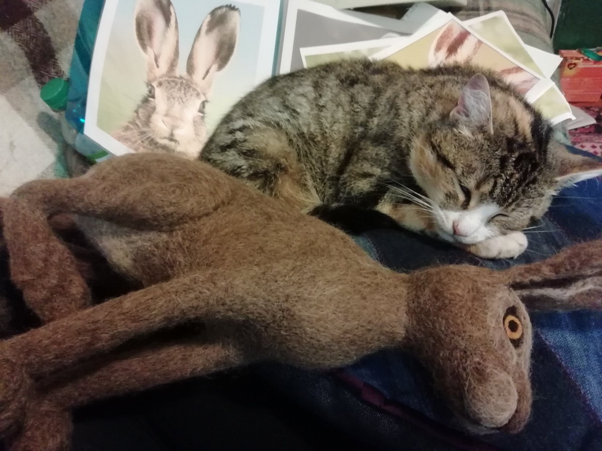 CaronCrisp's tweet photo. I think Loki the puss is telling me its time to stop work! #feltmaker #feltmakerorkney #felthare #feltedhare #needlefeltedhare #orkneyhare #brownhare #catstopswork #pussstopswork #lokipuss #orkneyfelt #orkneyfeltworker https://t.co/QhXiFrPVDw