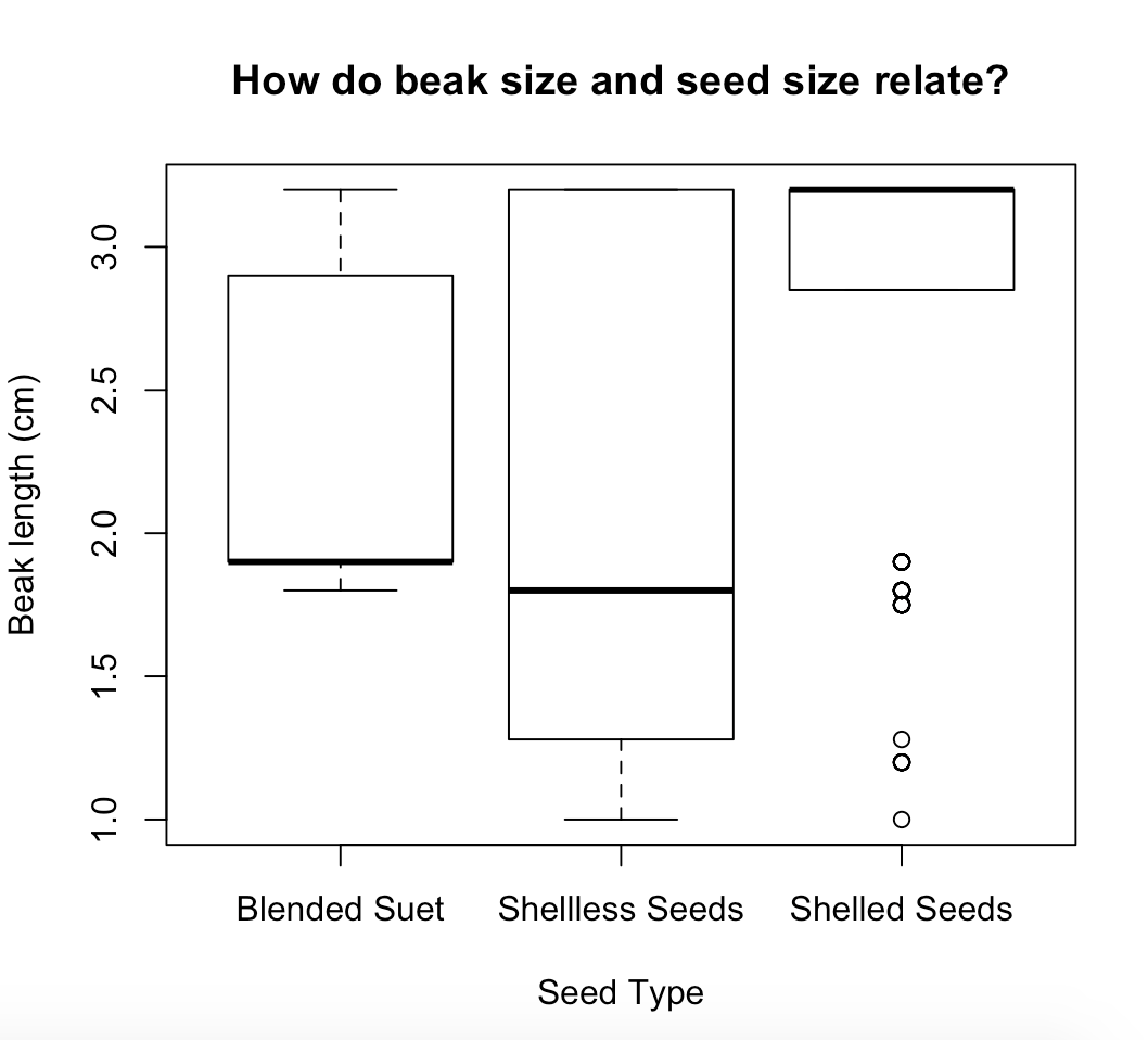 jmfg1234's tweet photo. This semester I observed birds @FeederWatchCam to determine how bird mass and beak size influence seed preferences. In line with our hypotheses, our data suggest that seed size and hardness is positively correlated with mass and beak length! #uconneeb #eebclasses #uconnbehavior https://t.co/bockbqkwLj