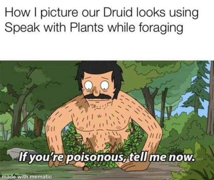 TheDorkForge's tweet photo. Where are the druids here? #DnD #dnd5e #dndmemes #dndrt https://t.co/SFGD6YJCJk