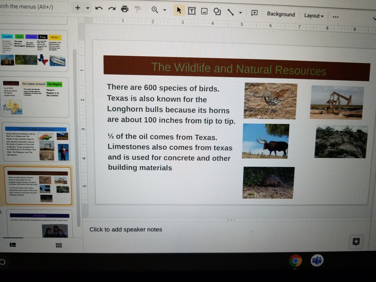 Mrs. Brodt tweet media