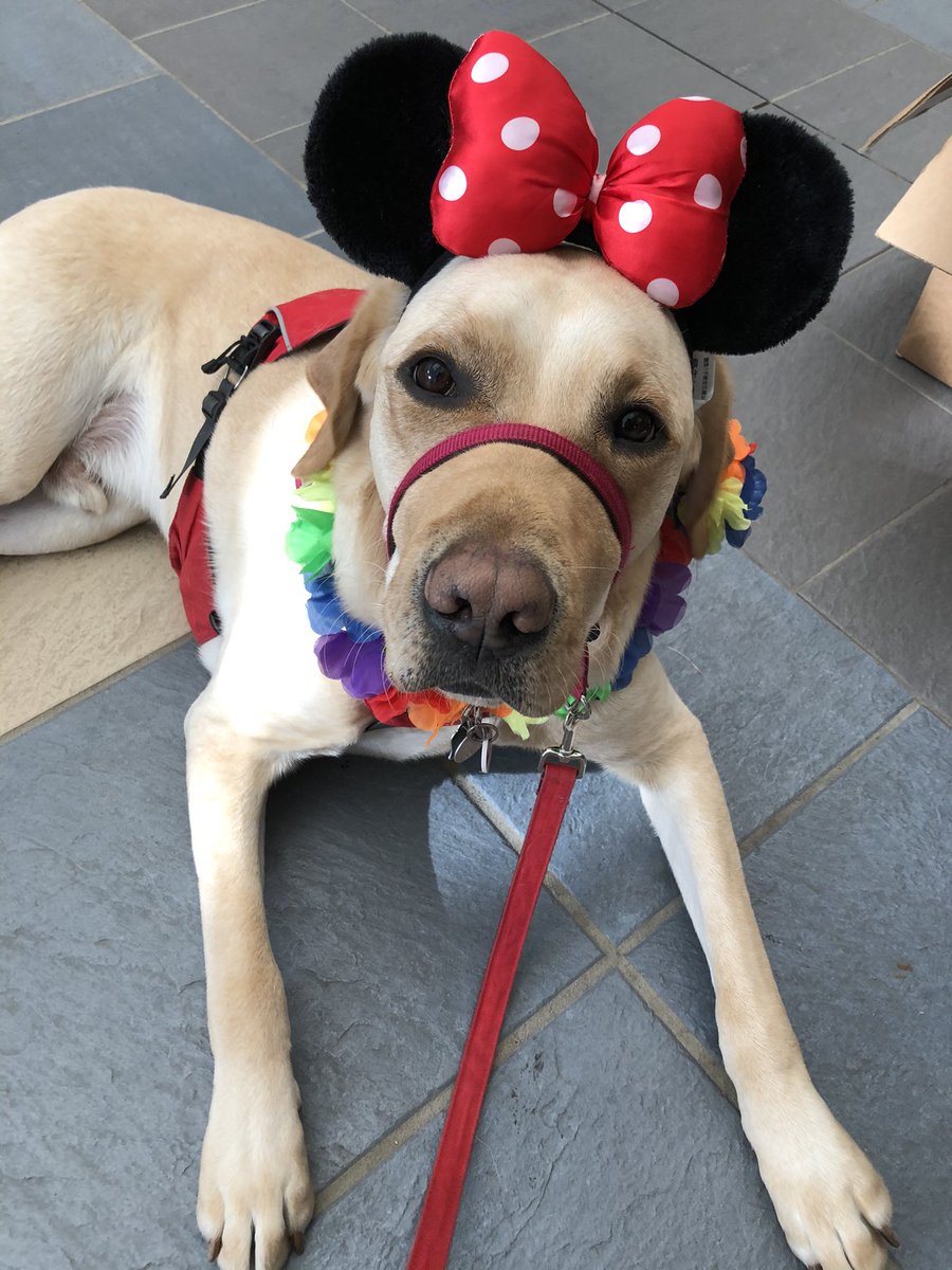 Tourist day!! Love any excuse to get dressed up! <a href="/ashland_stuco/">Ashland STUCO</a>