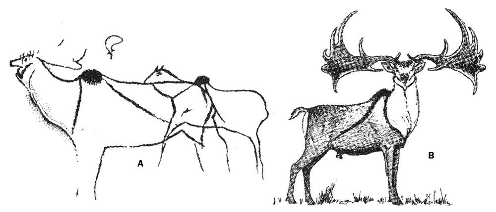 Megaloceros giganteus is commonly accepted and depicted by mainstream paleontologists (notably Guthrie, Naish, Witton shown below respectively) to have a striped body as indicated by a handful of Paleolithic art depictions, but perhaps this interpretation should be challenged.