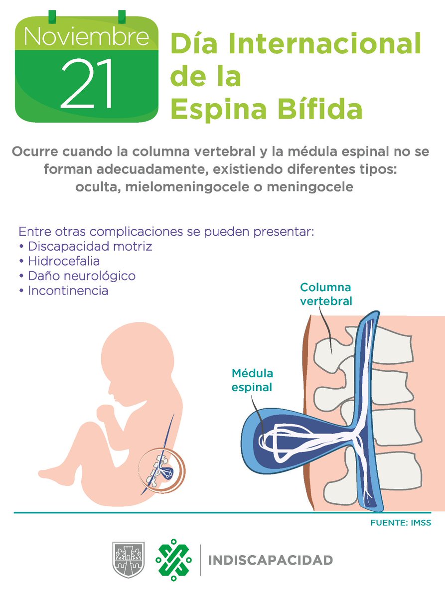 Indiscapacidad CDMX tweet media