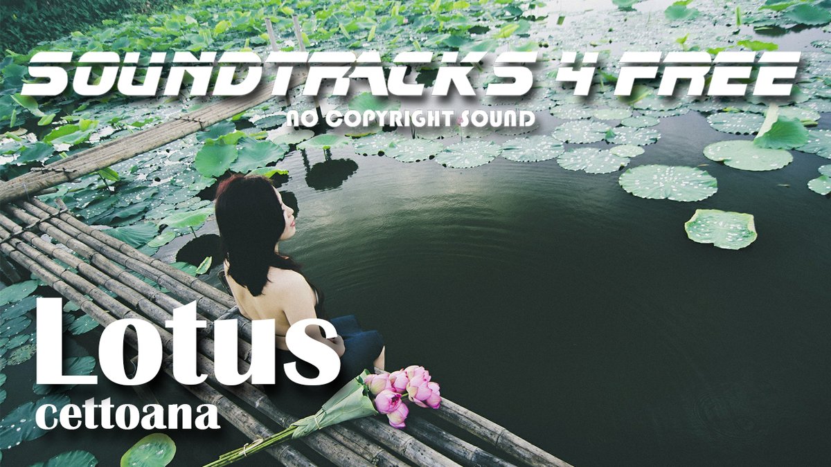 ST4free's tweet photo. 🎧 Lotus by cettoana 🎵 THE BEST MUSIC OF 2020 ❤️ New Music 🌿 https://t.co/LstLuHnopk via @YouTube https://t.co/q3CW1HRG3h