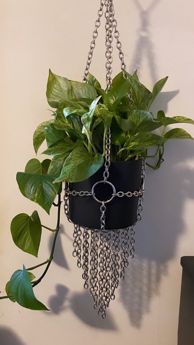  @Misterrmando makes these amazing plant hangers, message him! He takes custom orders as well