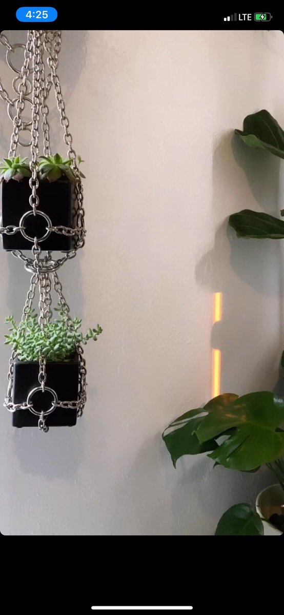  @Misterrmando makes these amazing plant hangers, message him! He takes custom orders as well