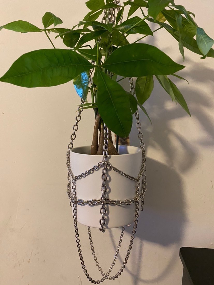  @Misterrmando makes these amazing plant hangers, message him! He takes custom orders as well