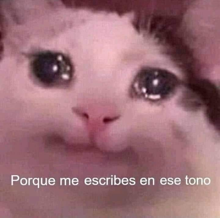 Kamiloo_V's tweet photo. Mi amorcito me envía un mensaje sin un "Mi amor".

Yo: https://t.co/OJvyCX9yTj