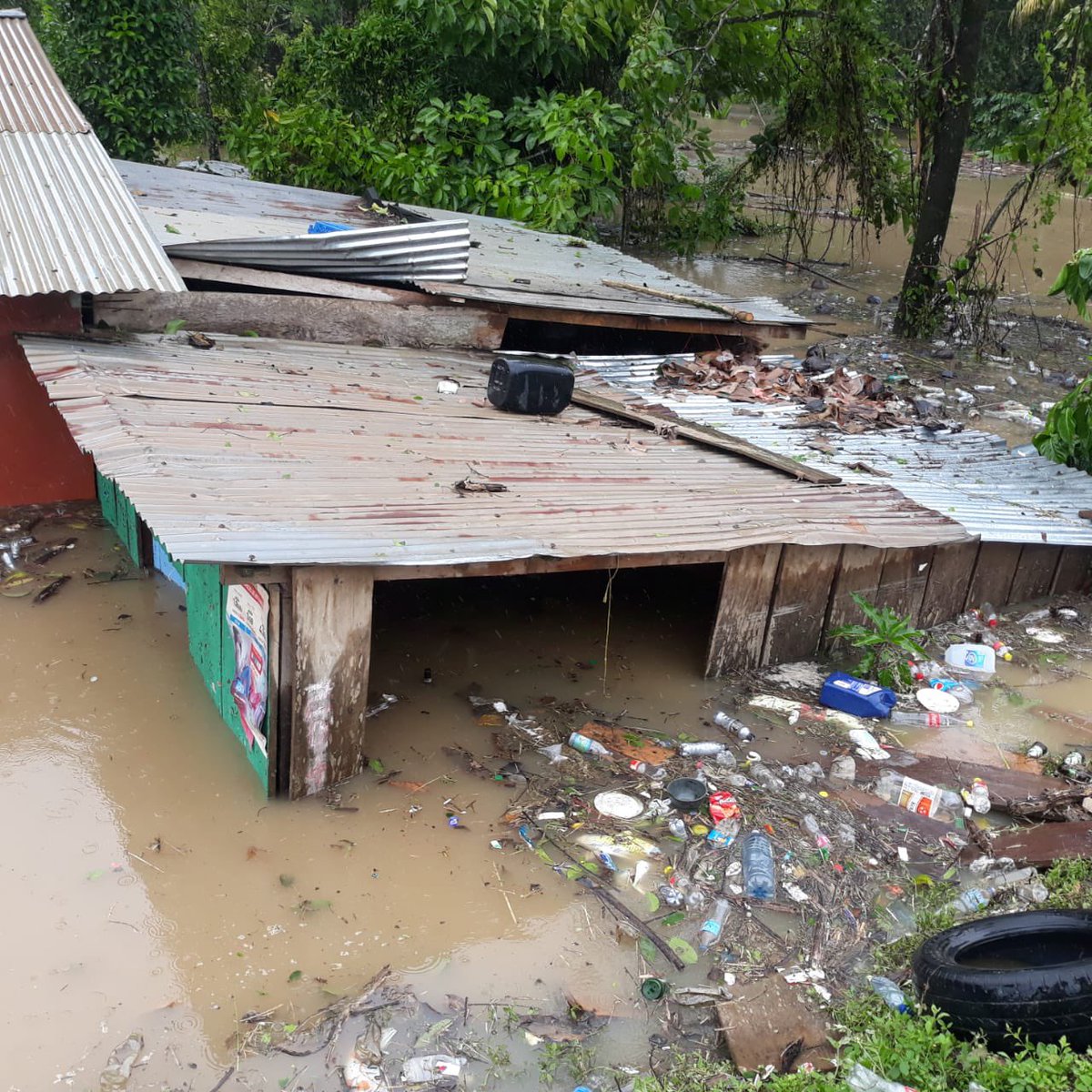 Sigan tirando basura 😡