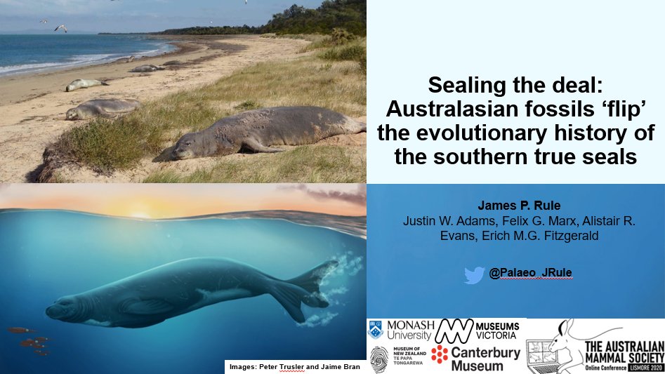 Dr Douglass Rovinsky tweet media