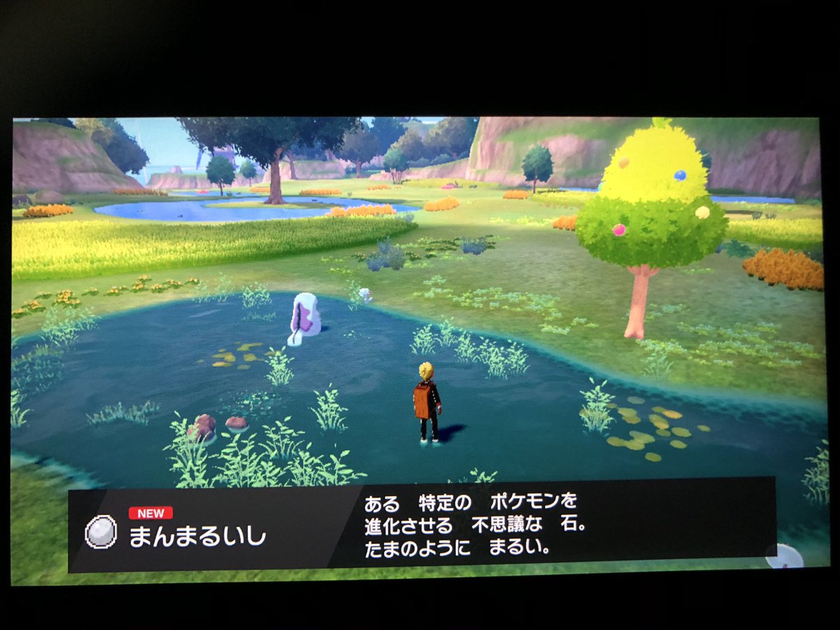 フカヒロ Pixivリクエスト1作目完成 A Twitter アキラのガラル冒険記 ピンプクの進化に必要なまんまる石に 天気講座で貰った天候維持アイテムの一つ湿った岩をゲット 岩シリーズは他の3つも島のどこかにありそうだな まんまる石は そもそもラッキーを普通に