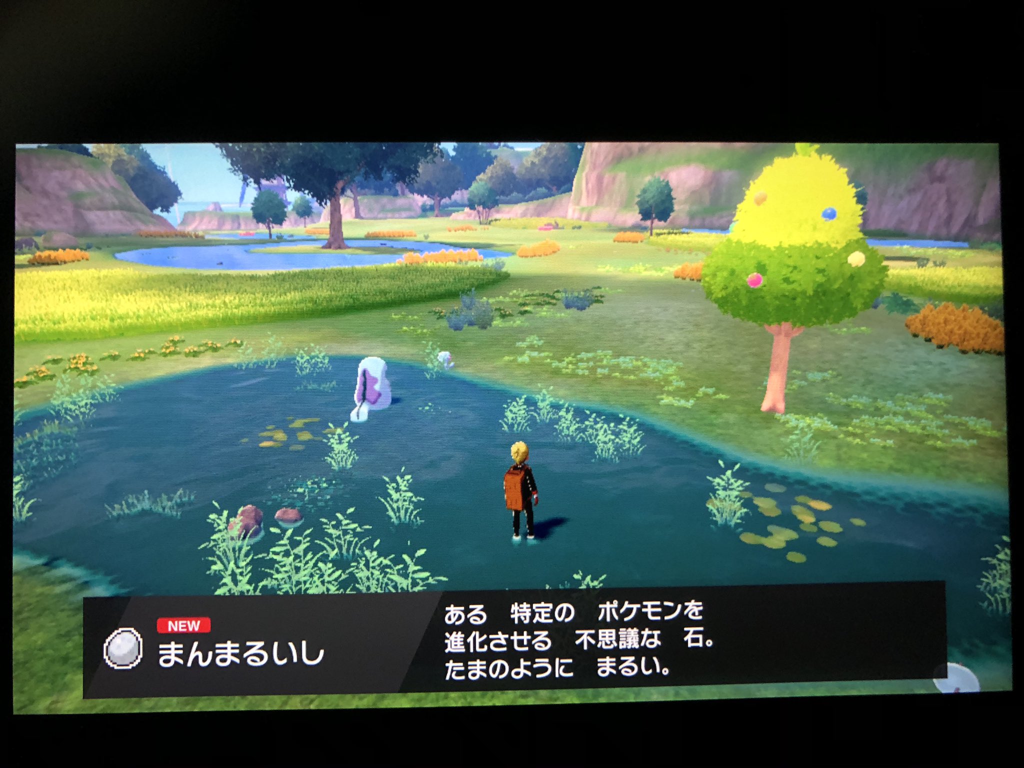 フカヒロ Pixivリクエスト1作目完成 A Twitter アキラのガラル冒険記 ピンプクの進化に必要なまんまる石に 天気講座で貰った天候維持アイテムの一つ湿った岩をゲット 岩シリーズは他の3つも島のどこかにありそうだな まんまる石は そもそもラッキーを普通に