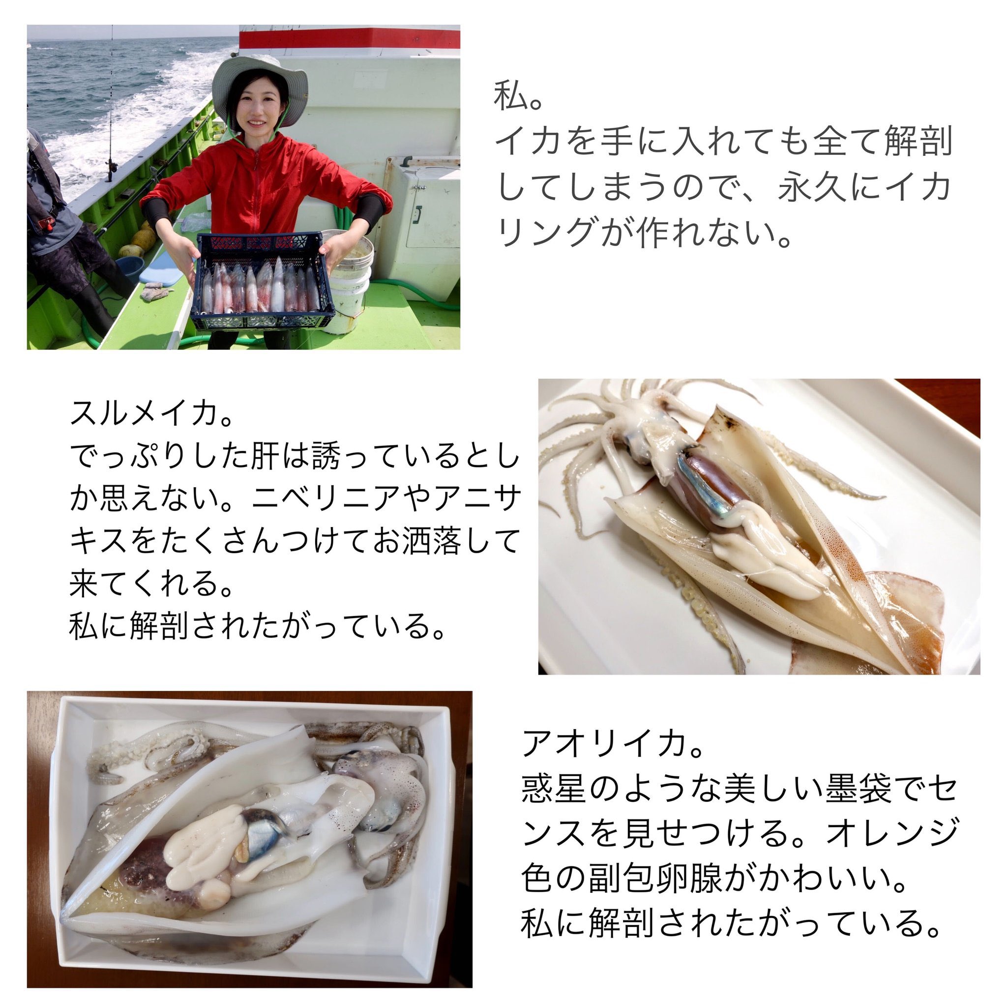 佐野まいける on X: なんかここ数日で急にフォロワーの方が増えたので、自己紹介しますね。 私とイカ達との関係をまとめましたのでご覧ください。  t.copIjbF4hru6  X