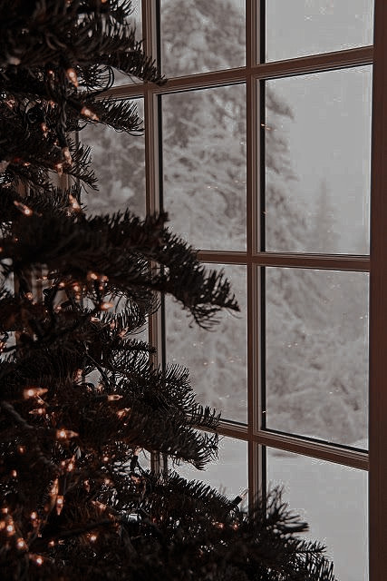 Iunarquartz's tweet image. 🎄 Christmas Gift 🎄 ¡short willex au!

willie manda mensagem para seu namorado praticamente todos os dias desde que o mesmo faleceu em um acidente de carro no natal de 2019. até que na véspera de natal de 2020, ele recebe uma resposta.