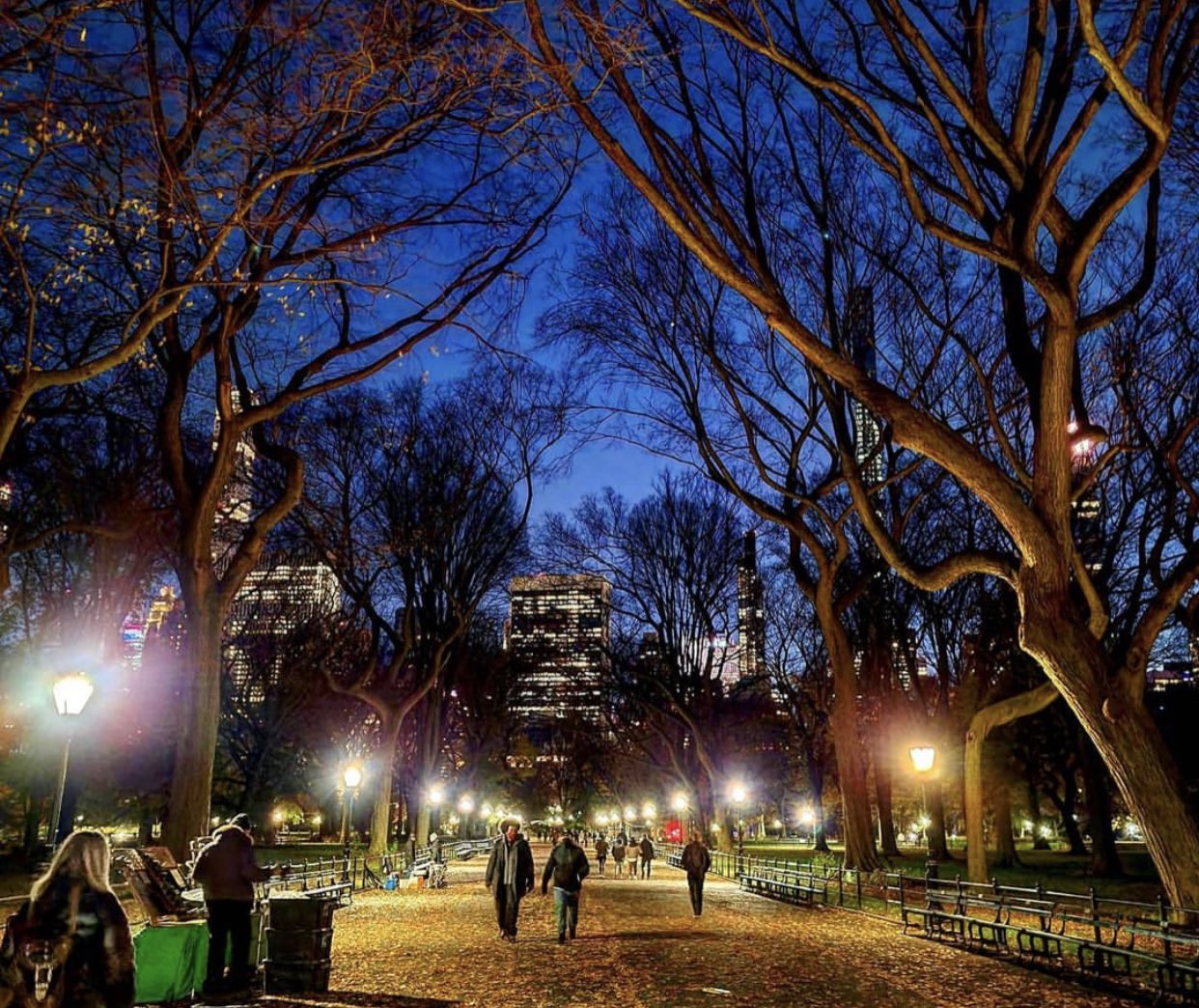 nypd-central-park-on-twitter-trivia-tuesday-how-many-light-fixtures