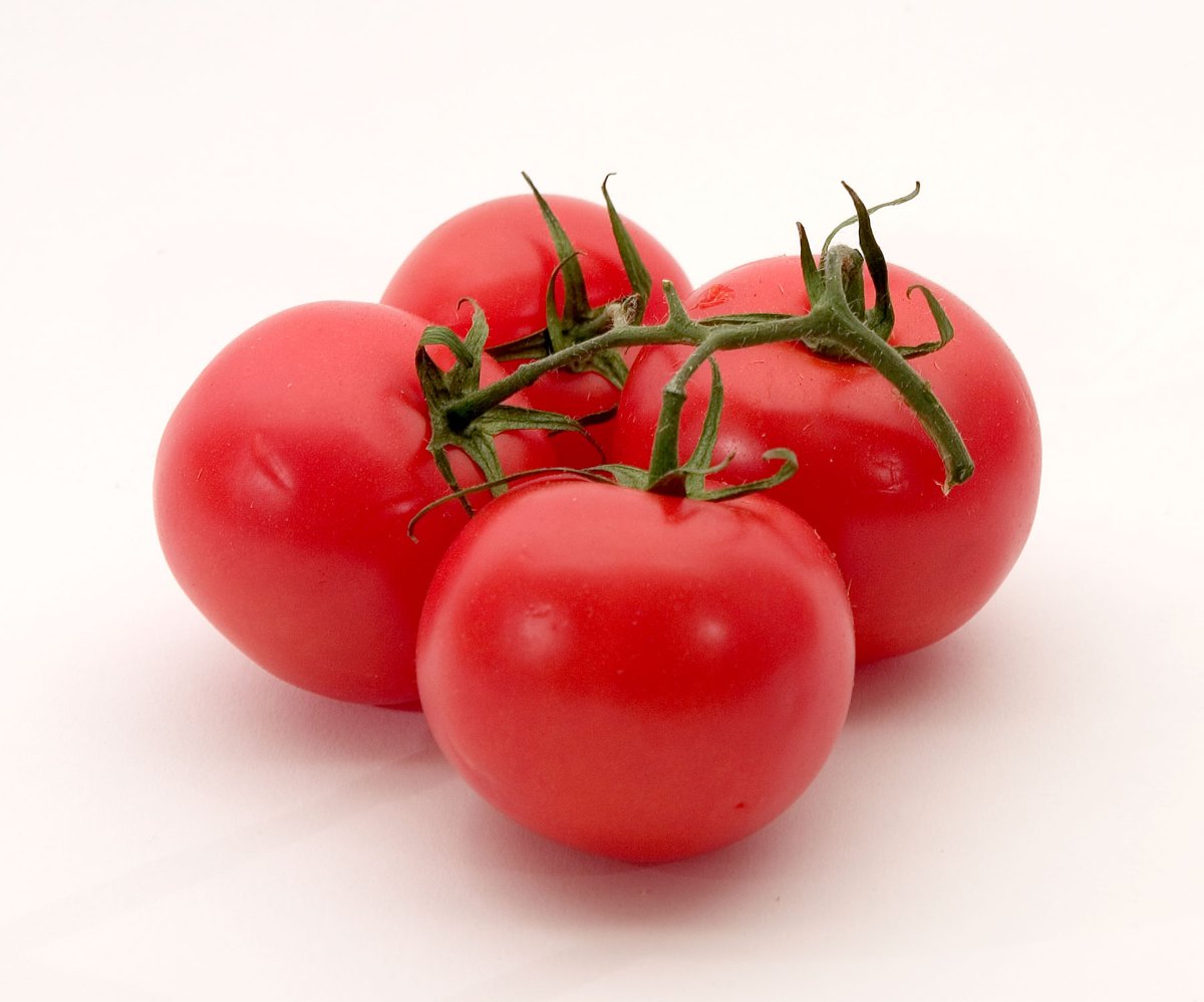 PremierNetting's tweet photo. Did you know that tomato is botanically a fruit but legally a vegetable?

#PremierNetting #Netting #Gardening
#allotment #allotmentsuk #allotmentlife🌱
#allotementlove #gardeninglife🌱 https://t.co/Kr4DPdhPte