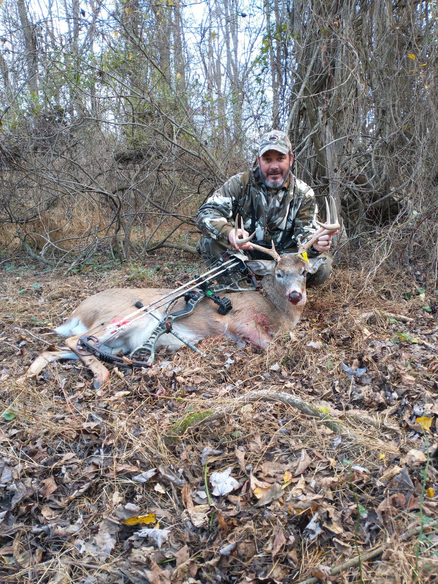 CCsnuffer03's tweet photo. Blessed and thankful to take this 8 point on my small York County property this afternoon. Last buck with bow in hand was over 20 years ago-does haven't been as fortunate. #pawhitetail #hoytbowhunting #muzzytrocar #eastonfmj https://t.co/QhyTd9KJws
