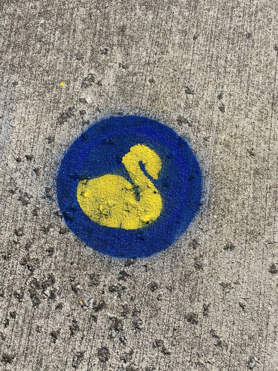 SCJenRyan's tweet photo. I haven’t tweeted in a LONG time. Yesterday I spent the day making these socially distancing circles for the kids to wait on for the bus. I might be super sore, but the smile on the kids faces was worth it @SwansCreekES. Even got some paint on my lips. #WeAreSwans https://t.co/ADL7pr0XWc