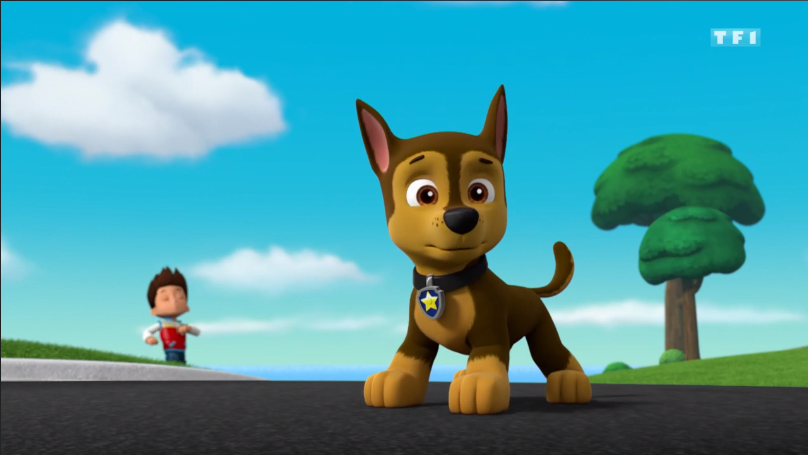 #PawPatrol. 