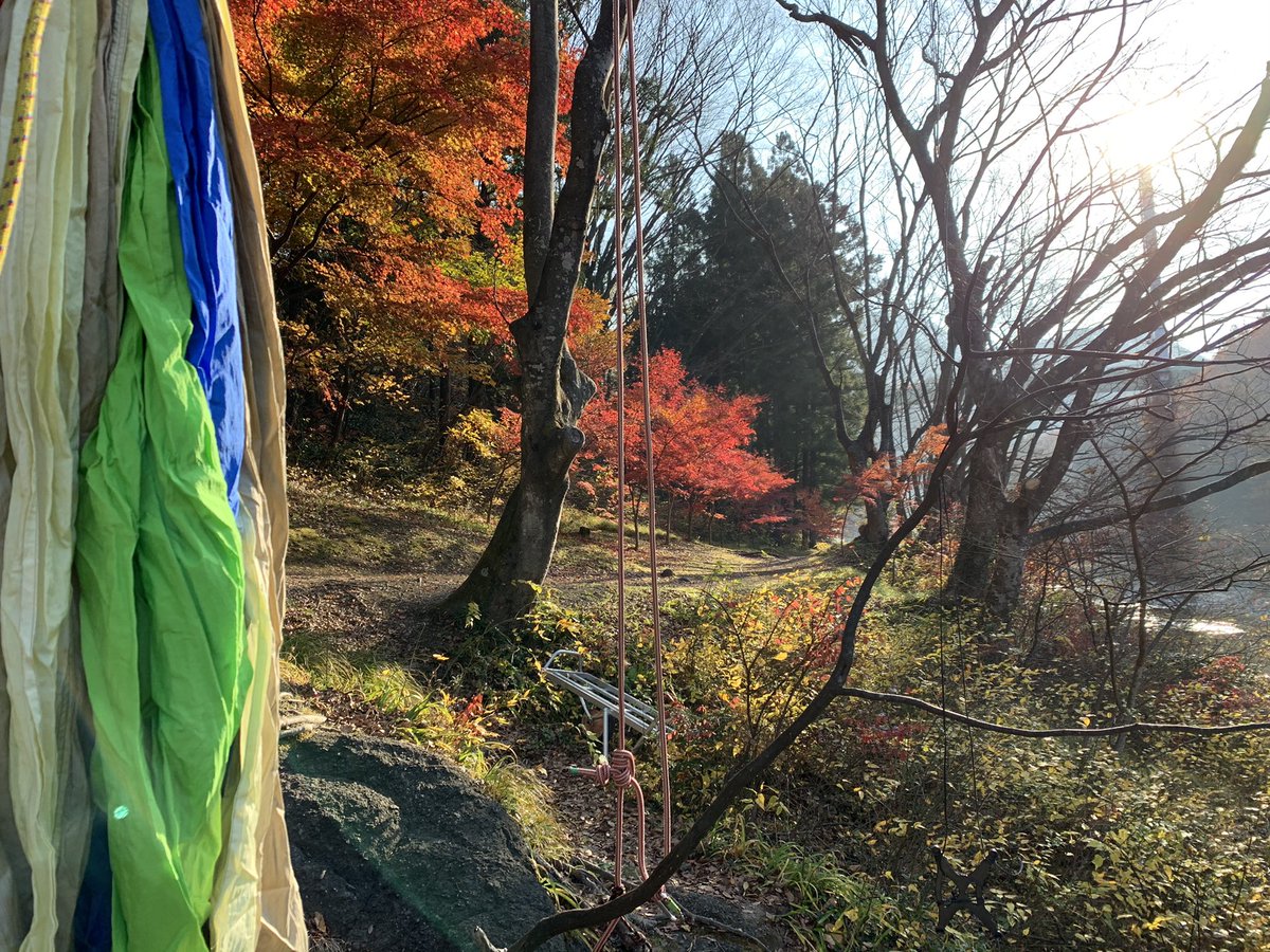 _MonkeyMountain's tweet image. おはようございます！
近場のもみじもだいぶ色付いてきましたよ。
今シーズンもあと少しなので、気を引き締めて頑張ります。
#木のぼりツアー #treeing #ツリーイング　#紅葉見頃 #みなかみ