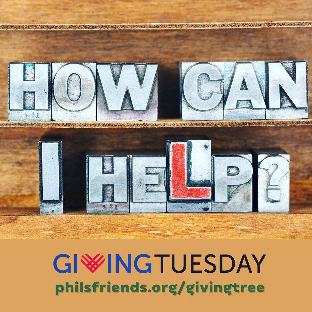 Phil's Friends tweet media