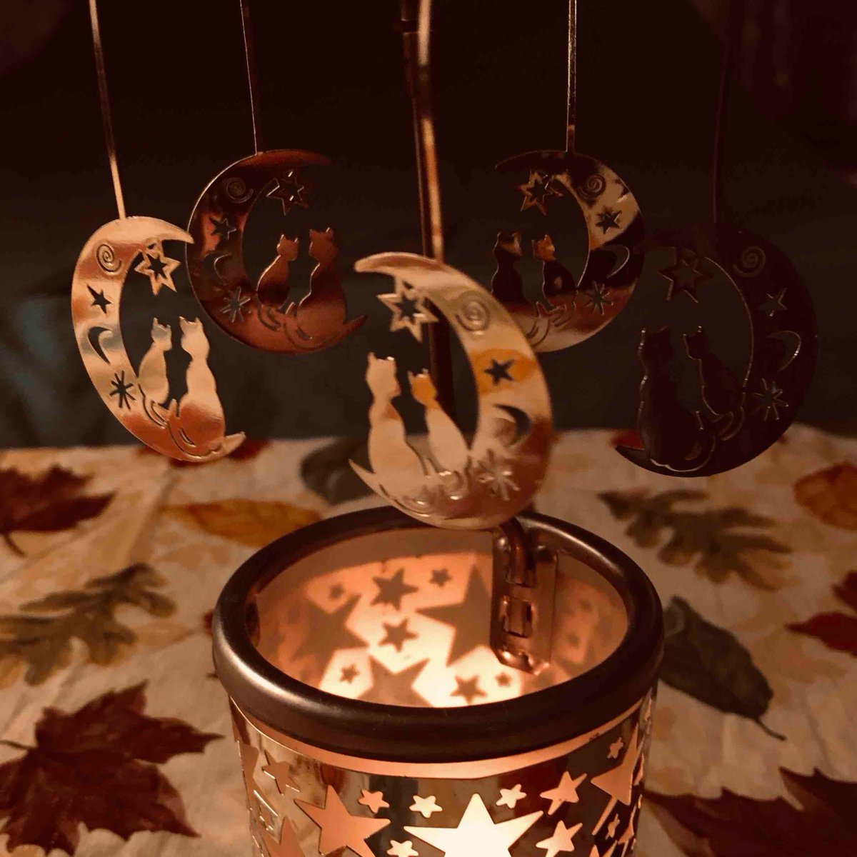 The Tracy Seeley CTE tweet media