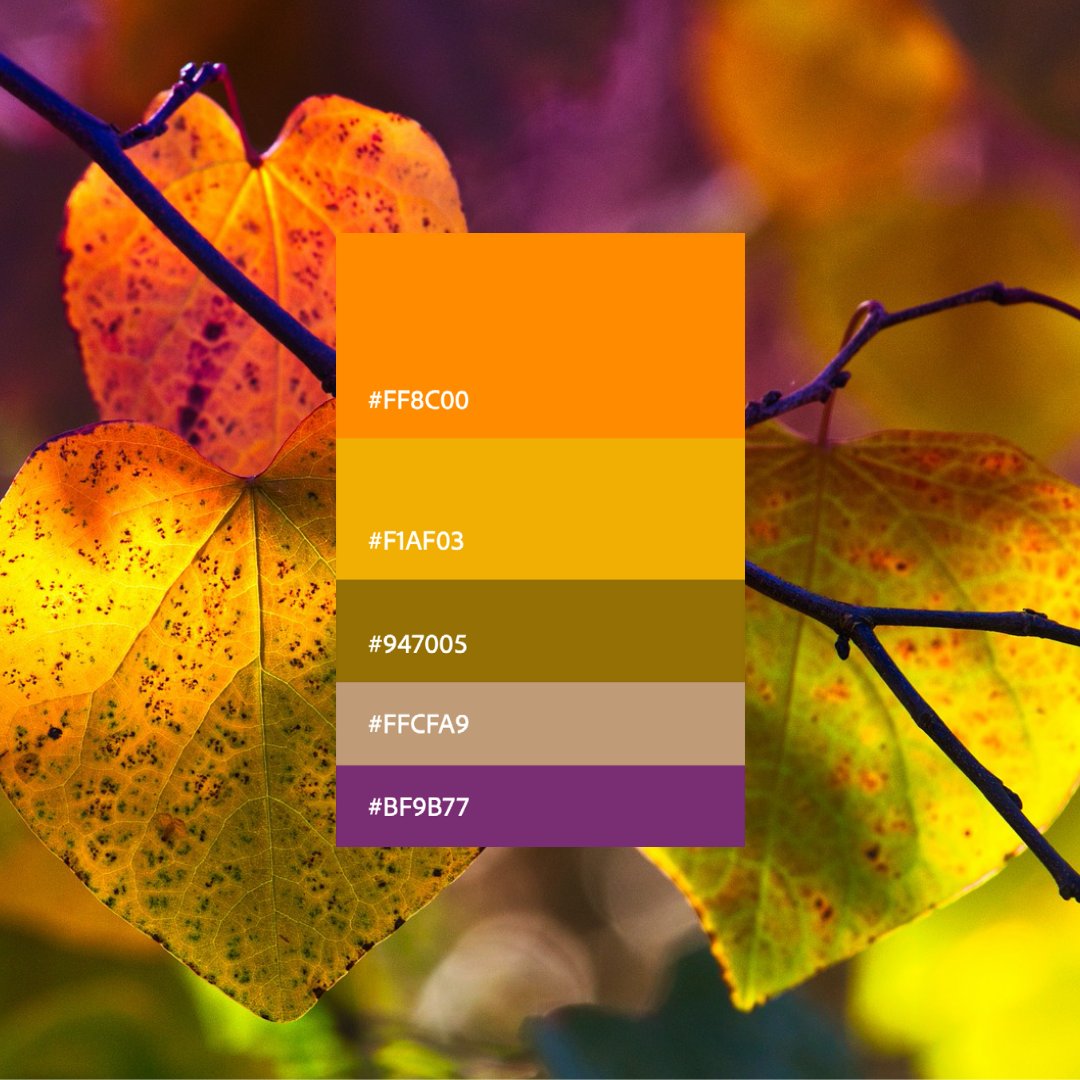 AdobeExpress's tweet photo. Fall is my favorite color. πππ
A little November #ColorPalette inspiration for your feed.
#November #AutumnInspiration #HEXCodes #MadeInSpark #SocialGraphics #GraphicDesign #ColorsOfFall https://t.co/lXYXwDiN3H