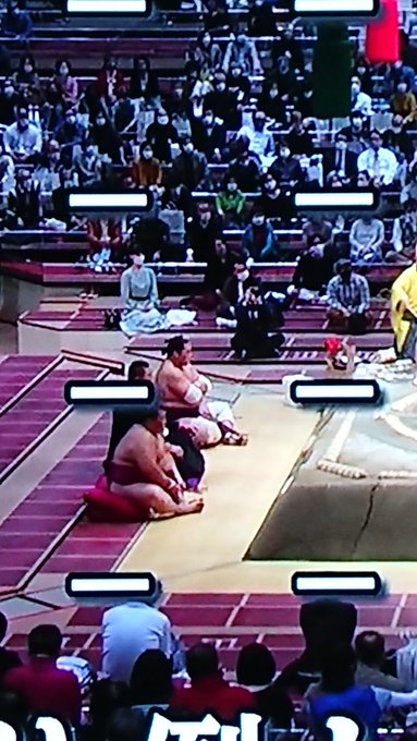 大相撲 砂かぶり席の女性は誰 毎日溜席に美女が座っていると話題に