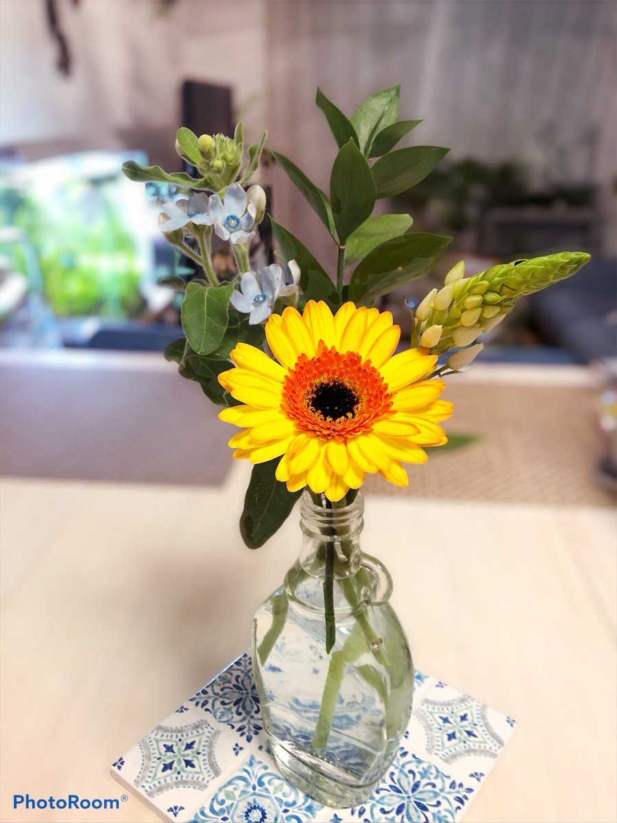 hakuyablueash's tweet photo. 近所にお洒落なお花屋さんがあまりないのでお花の定期便を始めてみましたヽ(´･д･｀)ﾉ
最初のお花はこれ！バイカラーの綺麗なガーベラが主役でした〜🌼

ささやかな楽しみが増えますな…！

#BloomeeLIFE
#ガーベラ
#ルスカス
#オーニソガラム
#ピュアブルー
#Noonflos https://t.co/svfBE2Qfgo