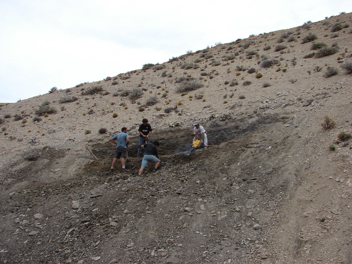 First day at the Bagualia quarry