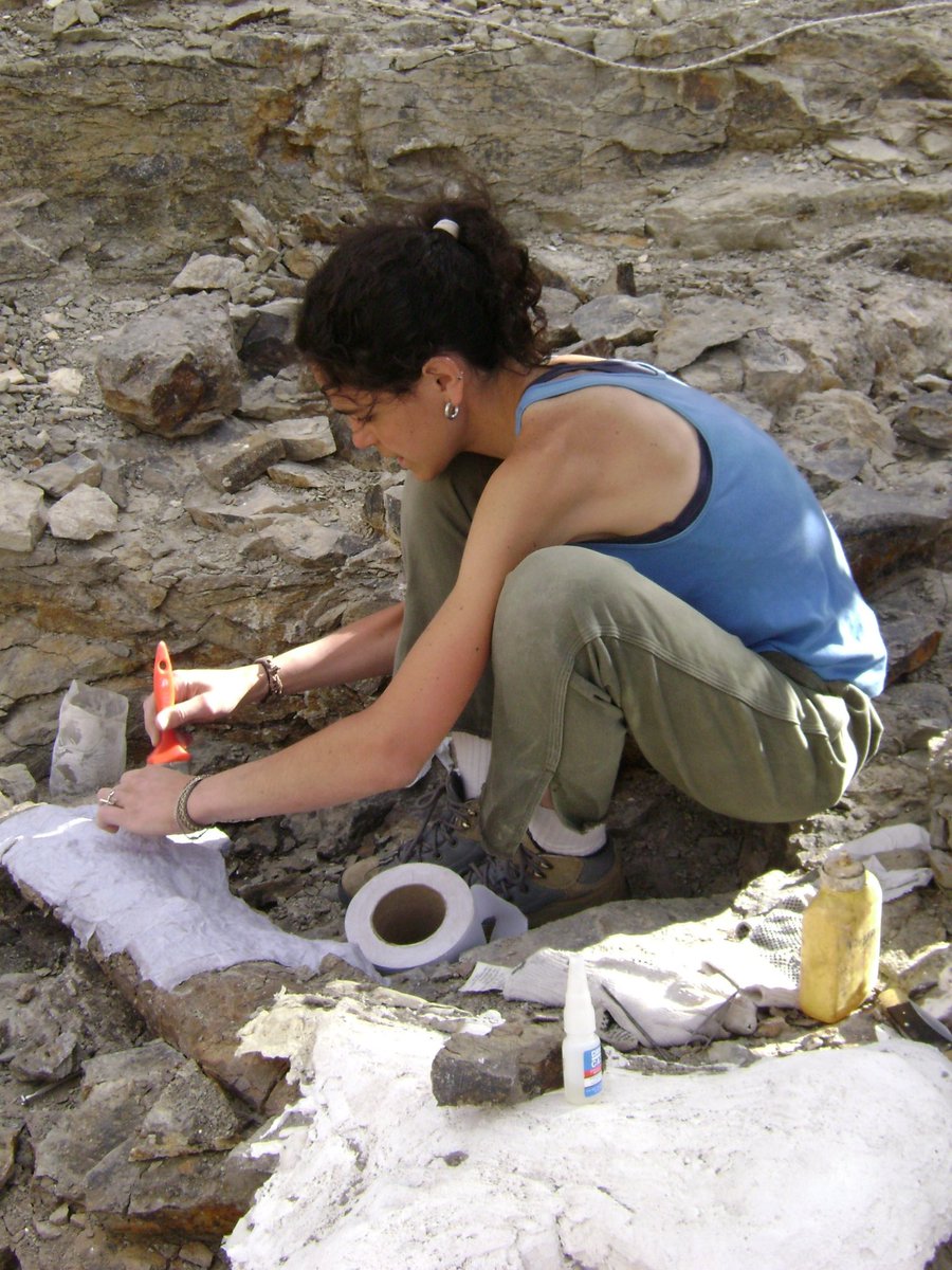 Agustina carefully adding toilet paper on a limb bone of Bagualia