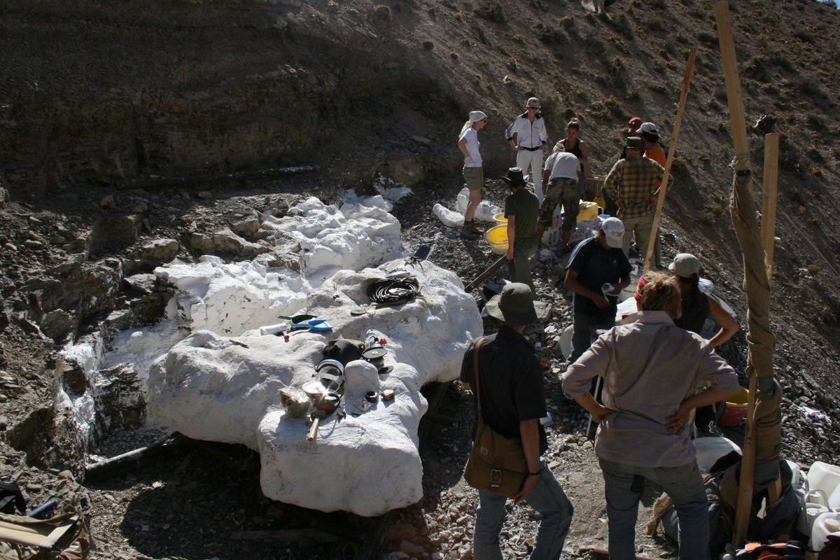 We ended up finding a bone bed with over 200 bones