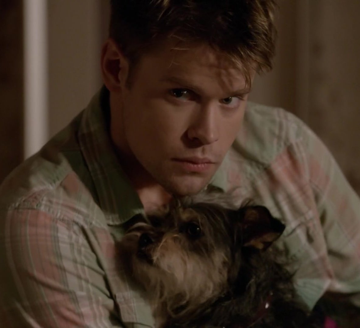 daily sam evans (@dailysamevans) on Twitter photo 