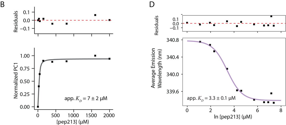 Blake_Hill_Lab's tweet photo. We used biophysical techniques to interrogate the peptide-Fis1 interaction. Using 2D HSQC NMR and intrinsic tryptophan fluorescence we determined binding affinities and protein-peptide specificity 7/8 https://t.co/IppYWcPQQ8