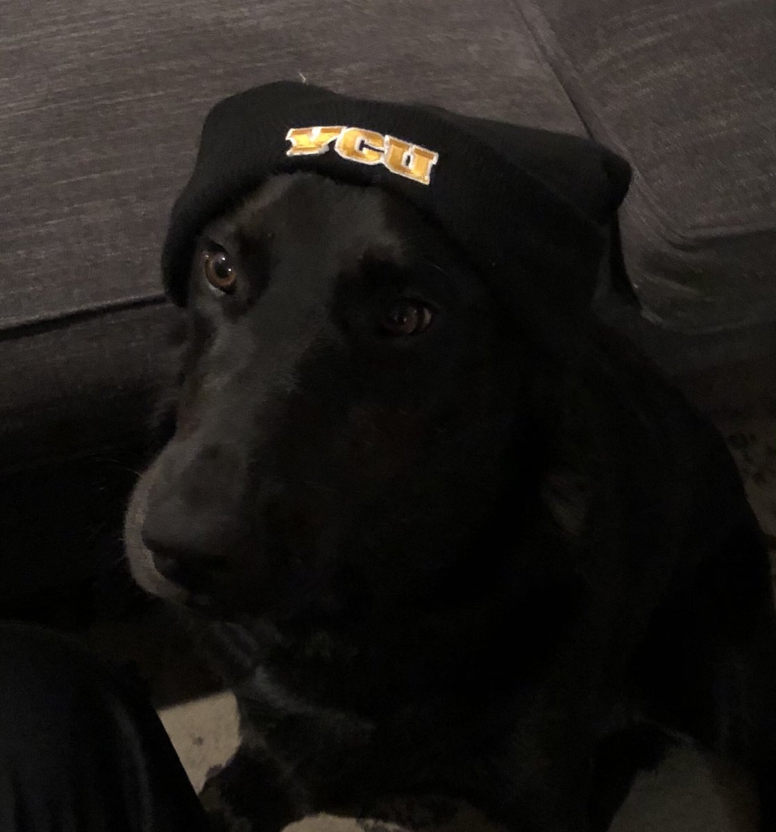 Debbie Bailey tweet media