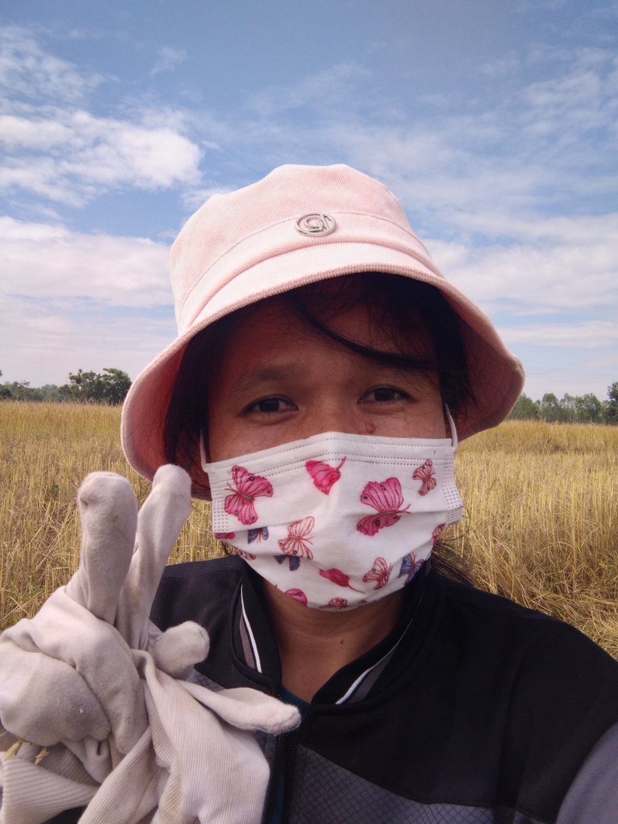 ketolovepalit's tweet photo. นุชมีอยู่ทุกที่ แม้กระทั่งตอนนี้. นุชคนนี้ก็เทรนทวิตอยู่กลางทุ่งนาค่ะ เกี่ยวข้าวไป พิมพ์ไป แม่มองบนหลายรอบละ 😂😂😂😂😂#รักนุชที่สุดในโลกเลย #เป๊กผลิตโชค #PeckPalitchoke https://t.co/G1nDBLDeyJ