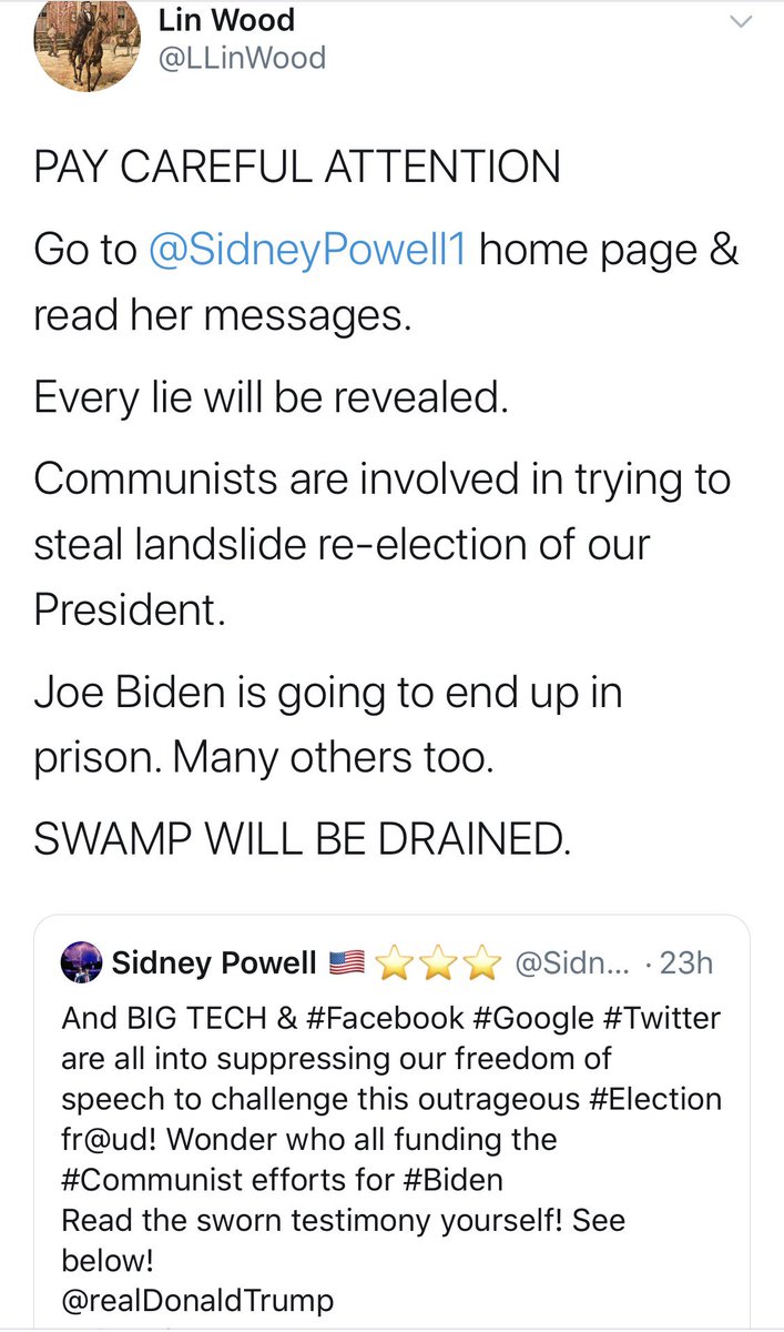 Fanatical  #Trump supporting Chinese ex-dissidents in the  #US also drawing on material from Sidney Powel / Lin Wood (apparently actual lawyers) who’re running “Communist” “big tech” conspiracies. Wood’s feed especially unhinged; gifs, ranting + yes the “Epoch Times” aka Falun Gong