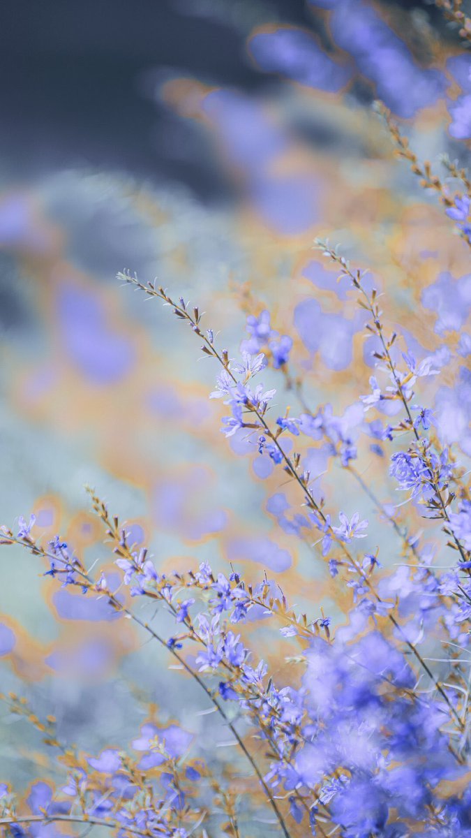 jjjunb (@immmork) on Twitter photo 