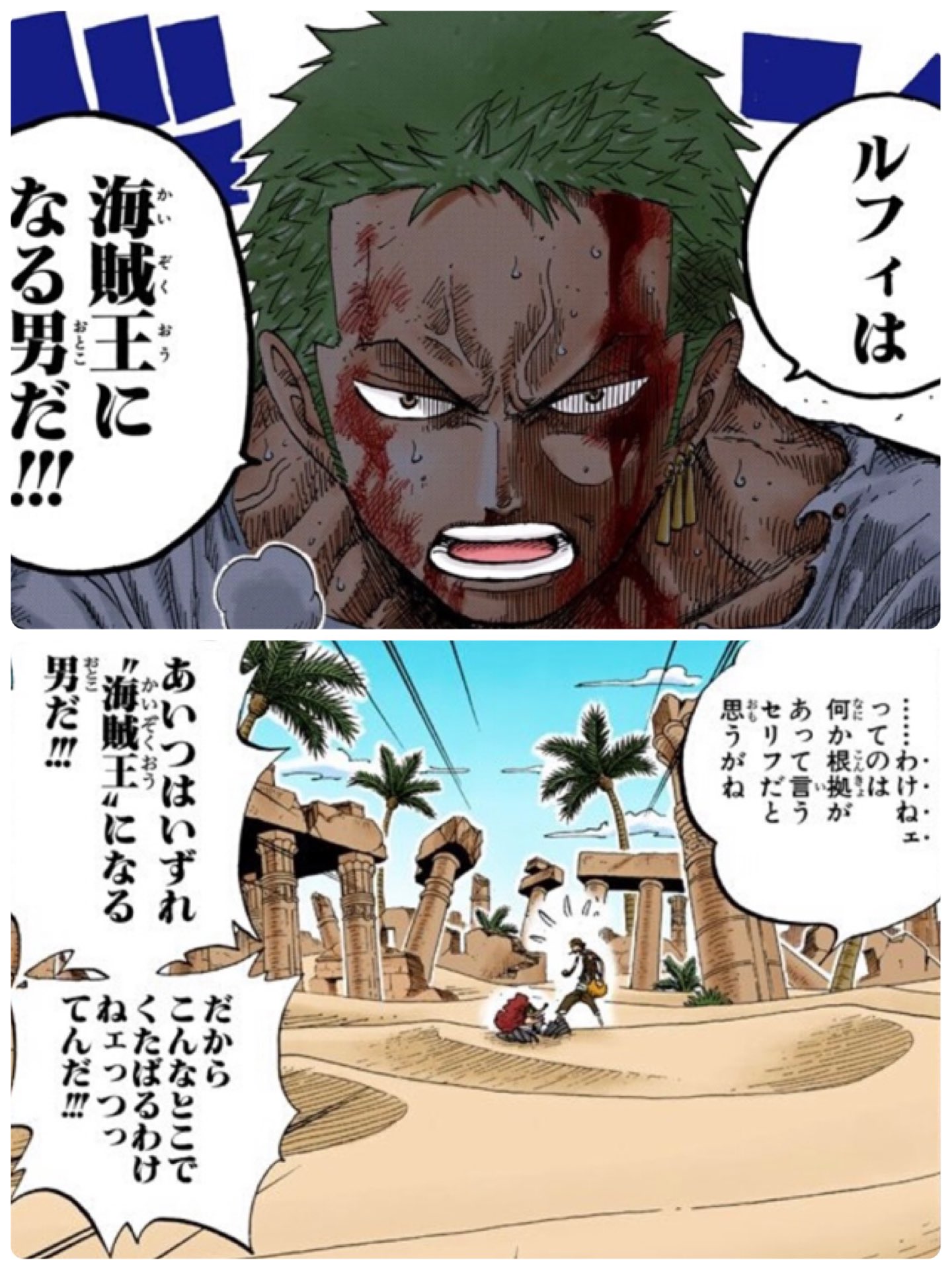 One Piece考察 One Piece 995話 考察 麦わらの一味が ルフィは海賊王になる男だ 系を言う流れ大好き ページワンとうるティは頑丈すぎて怖い 覚醒した動物系の能力者だと思うが 強すぎる