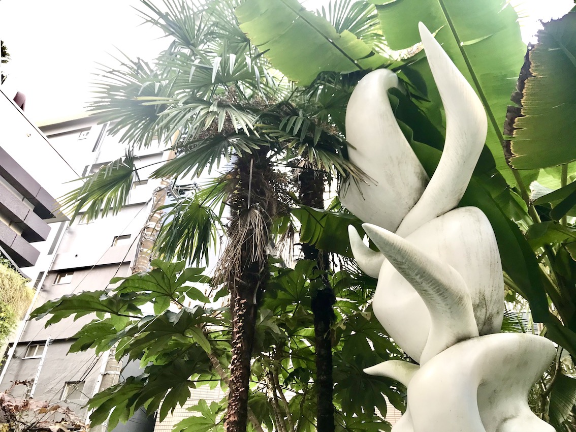 岡本太郎記念館 A Twitter お庭のシュロの木は お家を守ってくれる木として昔流行していたそうです 火事の多かった東京で 燃えにくいシュロの木はとっても重宝していたんですね 東京にいることを忘れそうなのびのびとした自然のなかにいると 太郎さんの作品と共に