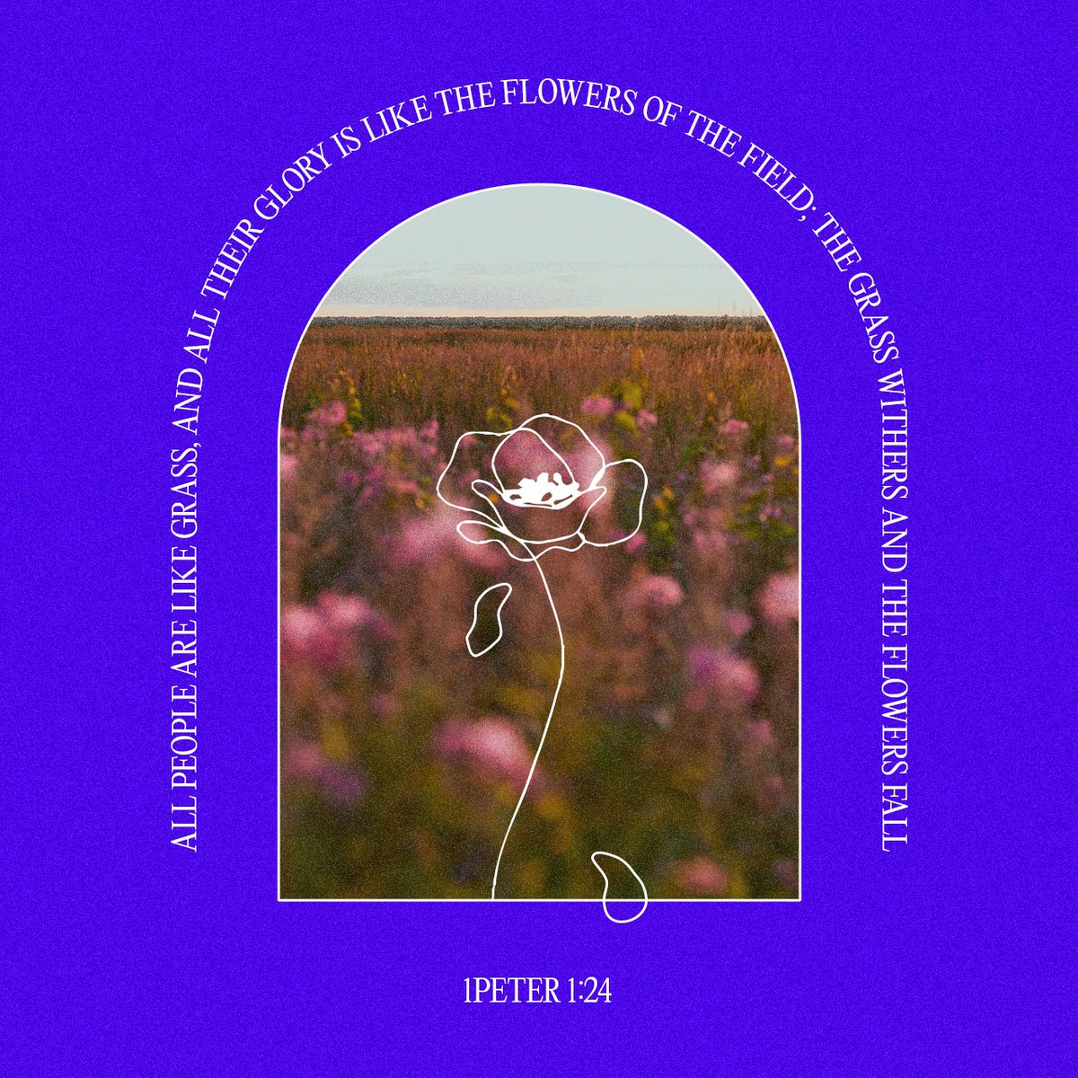 YouVersion Bible App tweet media