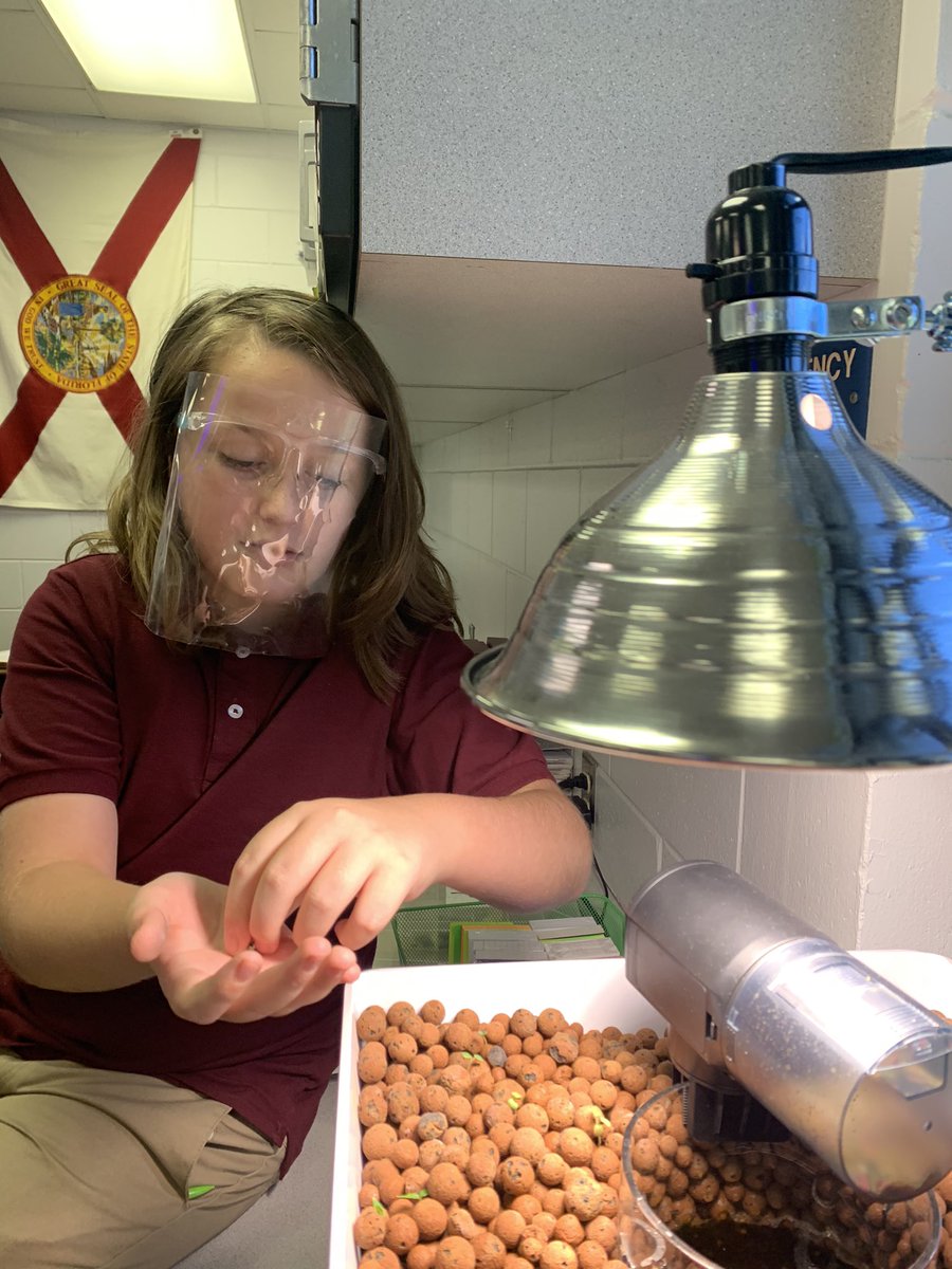Paige4EDU's tweet image. Ss are fully engaged with our #Planetbox #Aquaponics System. They planted garlic chives, rosemary, dill cress &amp;amp; celery. Other Ss took home cilantro, bell peppers, marigolds, &amp;amp; lavender. #BMSPantherPride @MarionCountyK12 @CRenfroe4EDU @wkmcateer4 @BenWhitehouse98 @BMSPantherPride