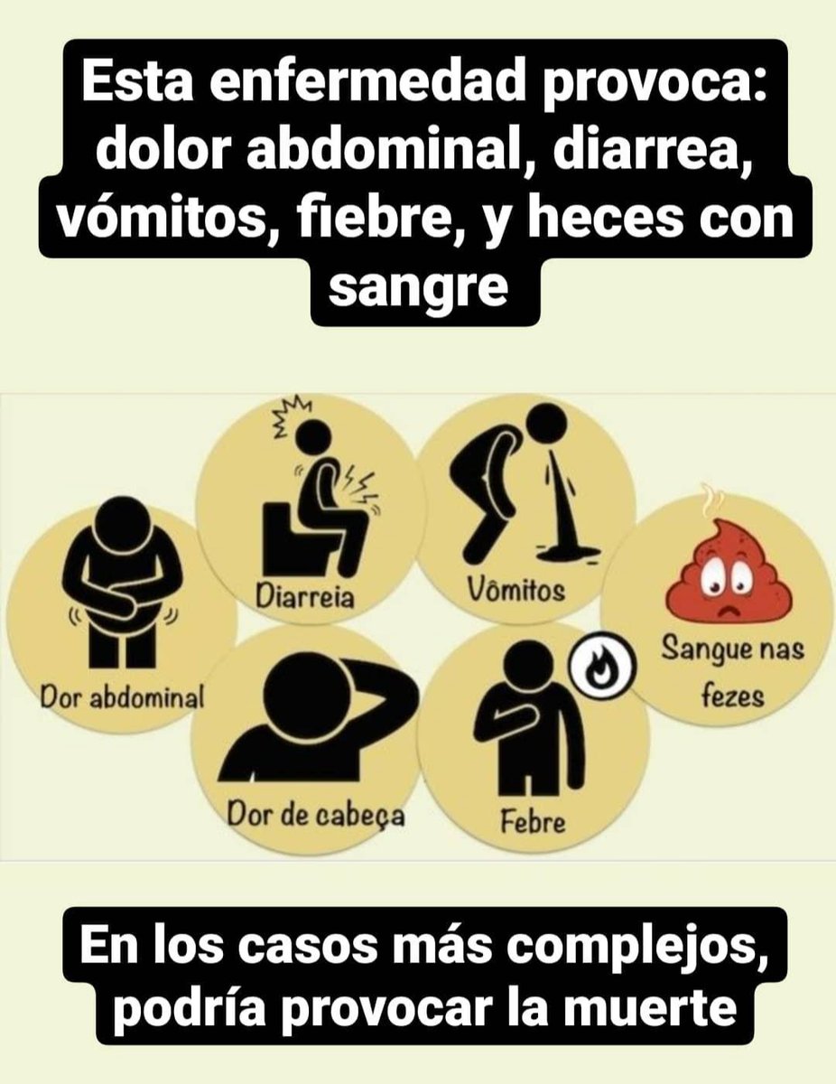 Epoxico's tweet image. #Salmonelosis (3/15)