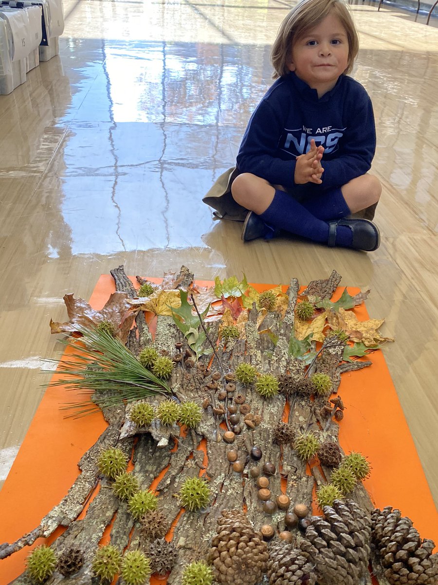 NCS_Trojans's tweet photo. Our PK students in Ms.Greerโs class are learning all about fall this week. They went exploring around campus to find acorns, leaves, pine cones, and more items to create this beautiful fall art collage. Well done, guys! #homeatncs #fallisfun #jointhencsfamily #ncspreschool https://t.co/1vqUDY9VJO