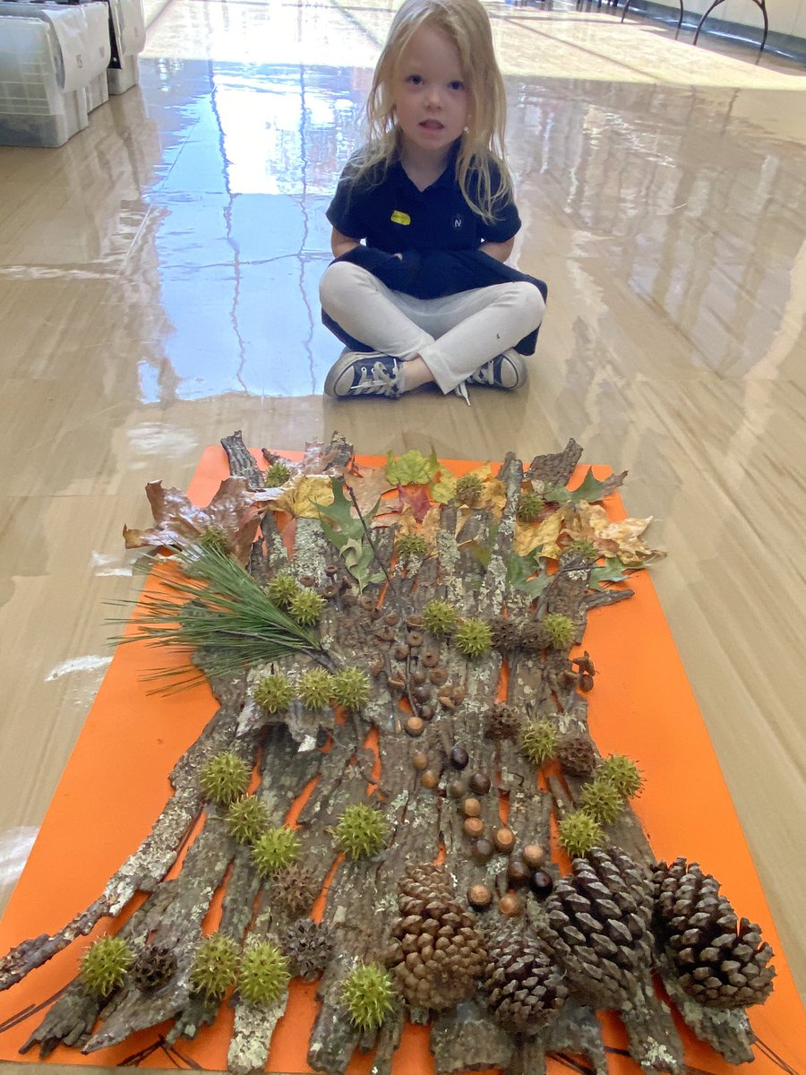 NCS_Trojans's tweet photo. Our PK students in Ms.Greerโs class are learning all about fall this week. They went exploring around campus to find acorns, leaves, pine cones, and more items to create this beautiful fall art collage. Well done, guys! #homeatncs #fallisfun #jointhencsfamily #ncspreschool https://t.co/1vqUDY9VJO
