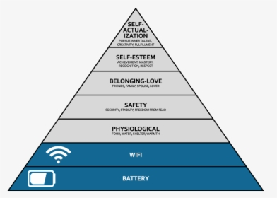 Jessica Trier, MD tweet media