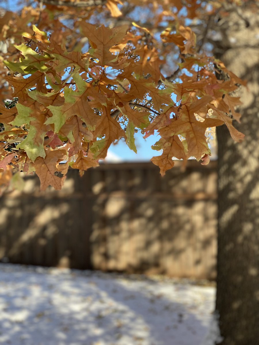 SarahRoutman's tweet photo. Please follow @EyesSarahs and check out my website https://t.co/v35Xii1wNX I’d like to grow my following. At a time when we are holding stress and tension, I hope to offer #beauty #calm Take a moment to pause, #reflect and notice the beauty around you, even in the simple things. https://t.co/AZUZmvDwc1