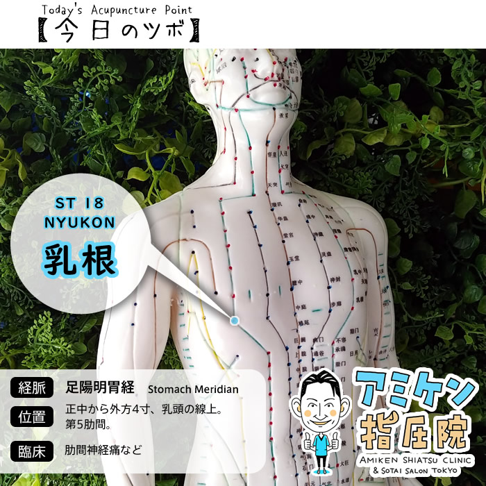 アミケン指圧院 北参道 原宿 千駄ヶ谷 肋間神経痛 に効果的なツボあります 女性の バストアップ や リンパ流し のツボとしてもよく使われます 今日のツボ 乳根 アミケンのツボ 東洋医学 指圧 マッサージ 疲労回復 血流改善 免疫力 アミケン指圧院 北参道 原宿 千駄ヶ谷 肋間神経痛 に効果的なツボあります 女性の バストアップ や リンパ流し のツボとしてもよく使われます 今日のツボ 乳根 アミケンのツボ 東洋医学 指圧 マッサージ 疲労回復 血流改善 免疫力