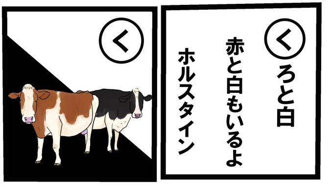 牛カルタ『く』REDのホルスタイン可愛いよねえ…白黒も白勝ちのと黒勝ちのといたり様々な模様がいるんだよ〜#牛 #牛カルタ #牛イラスト 