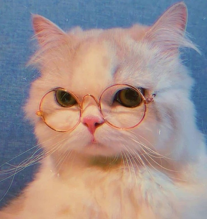 Tokiio13's tweet photo. تقنعنى المواقف لأ داعى للثرثره🖤 https://t.co/9mSwHp7wtd